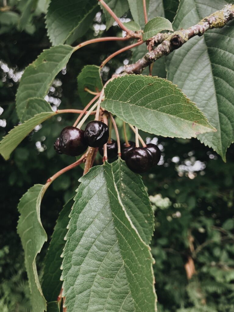 processed with vsco with a6 preset
