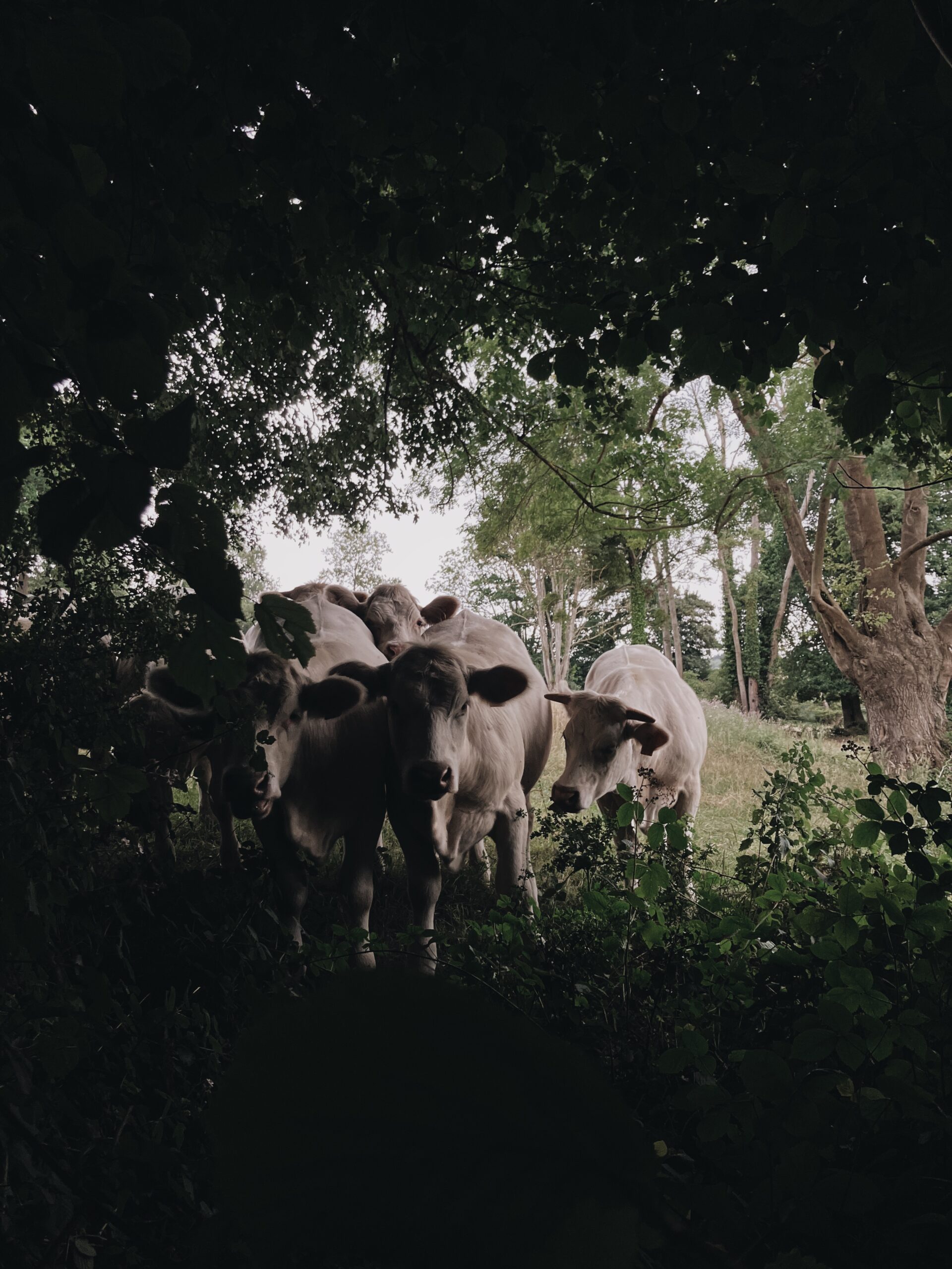 processed with vsco with a6 preset